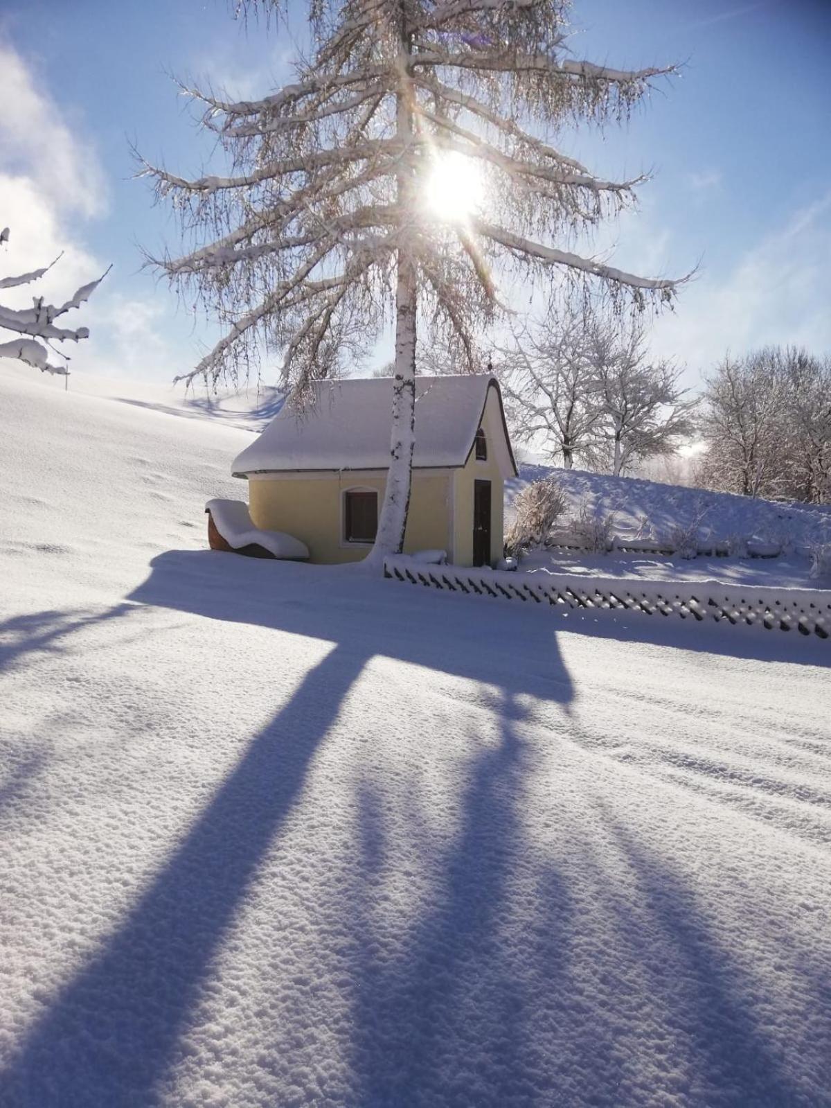 Alpenchalets Oberlaiming Itter Extérieur photo